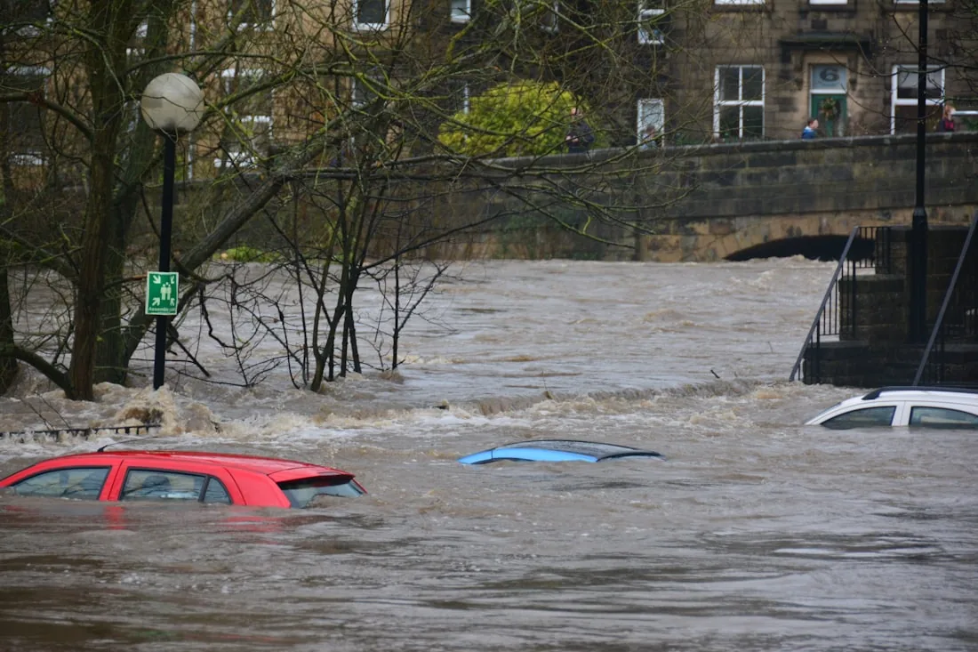 Disaster recovery & response